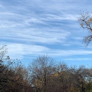 Meet your Posher, Chloe